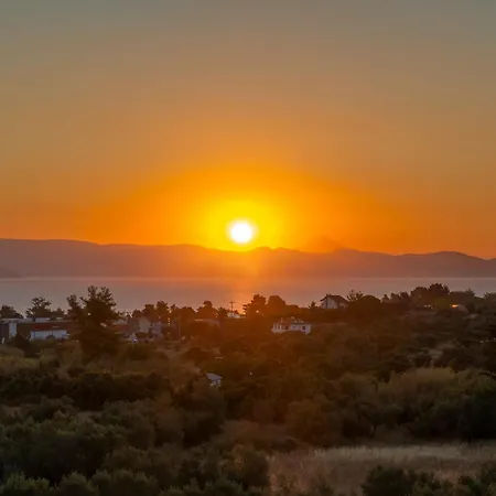 Musa Erato Chaniotis